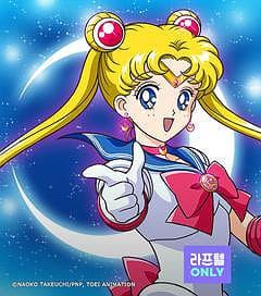 달의 요정 세일러 문 R