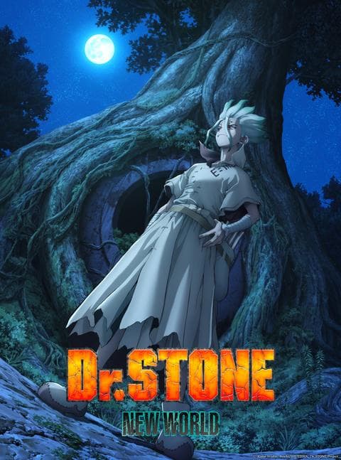 닥터스톤 3기 part 1