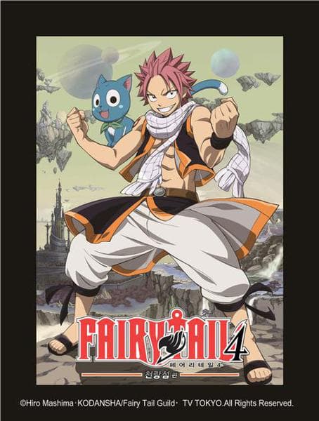 페어리 테일 4기