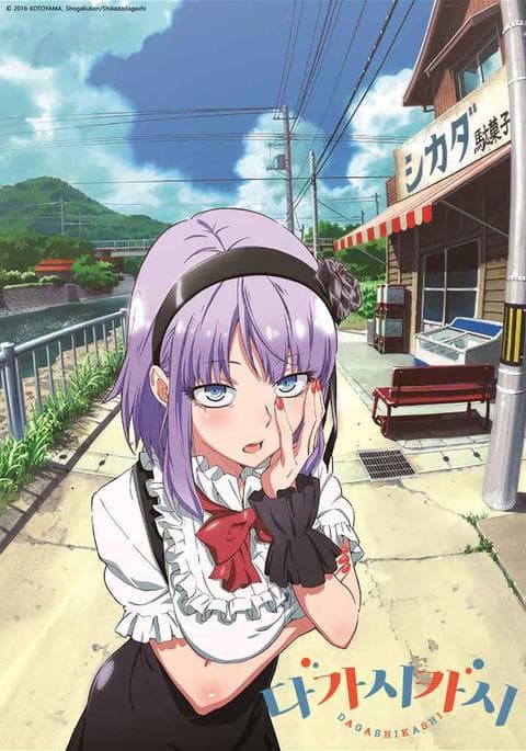 다가시카시 1기