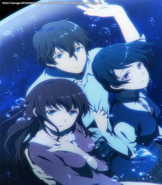 도메스틱한 그녀