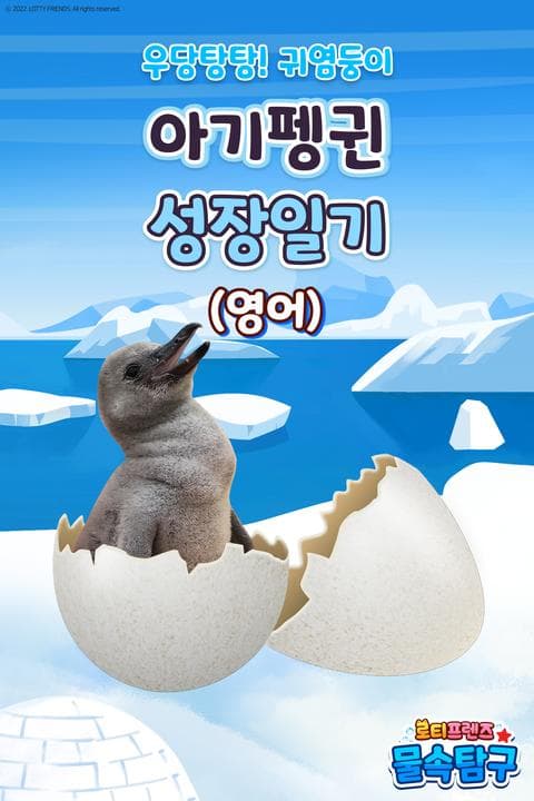로티프렌즈 아기펭귄 성장일기 - 영어